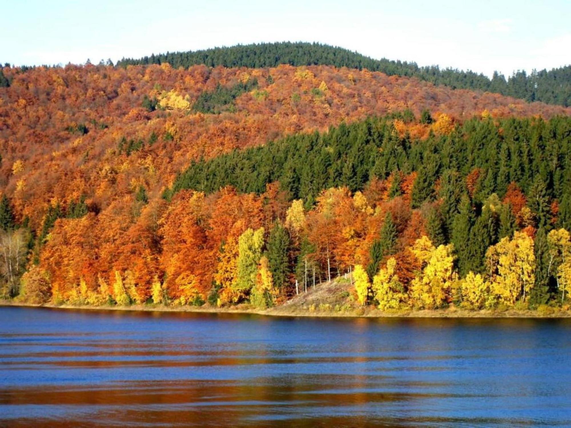 Detached Holiday Residence In The Wonderfully Beautiful Harz Kamschlacken 외부 사진