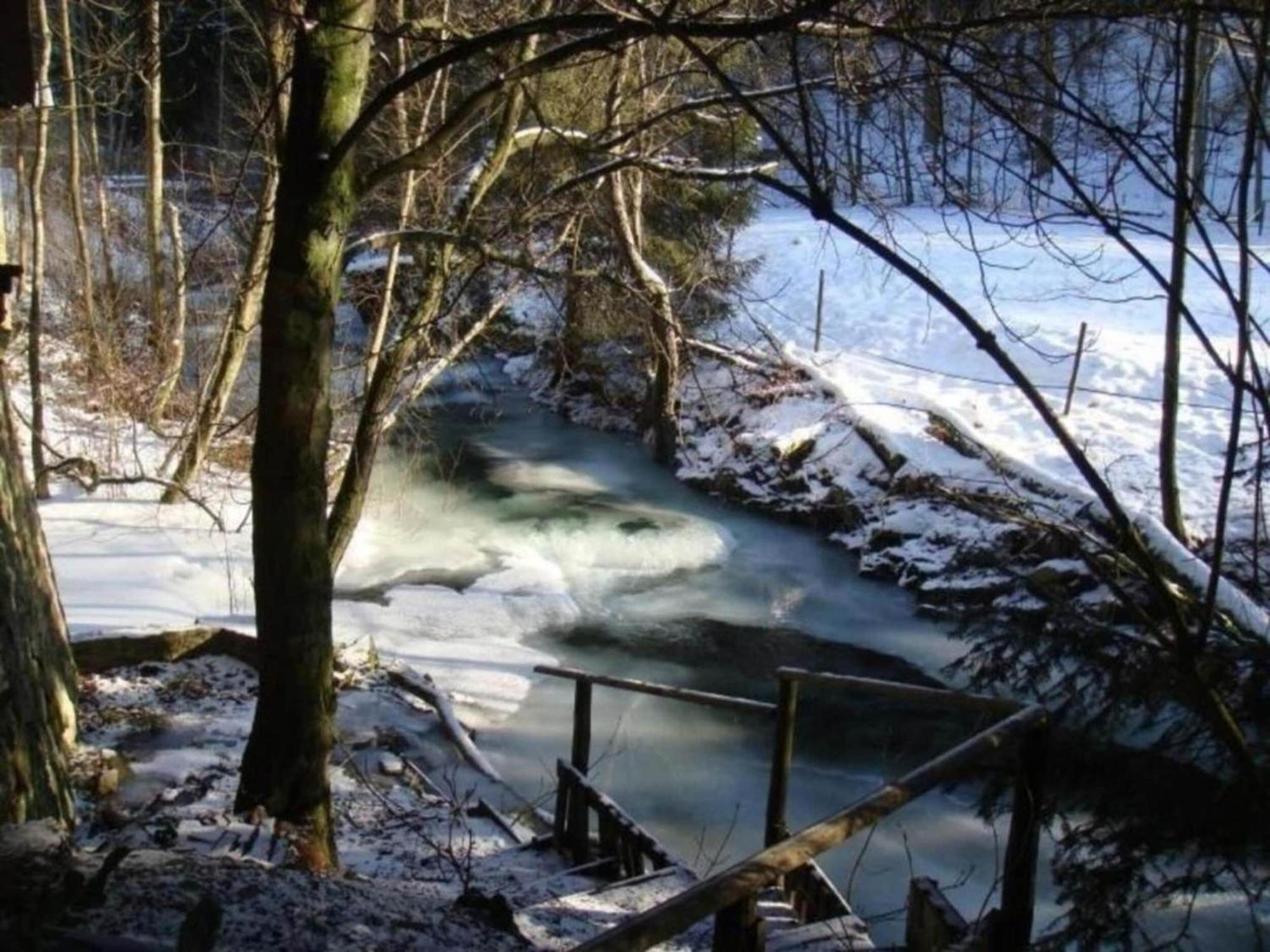Detached Holiday Residence In The Wonderfully Beautiful Harz Kamschlacken 외부 사진