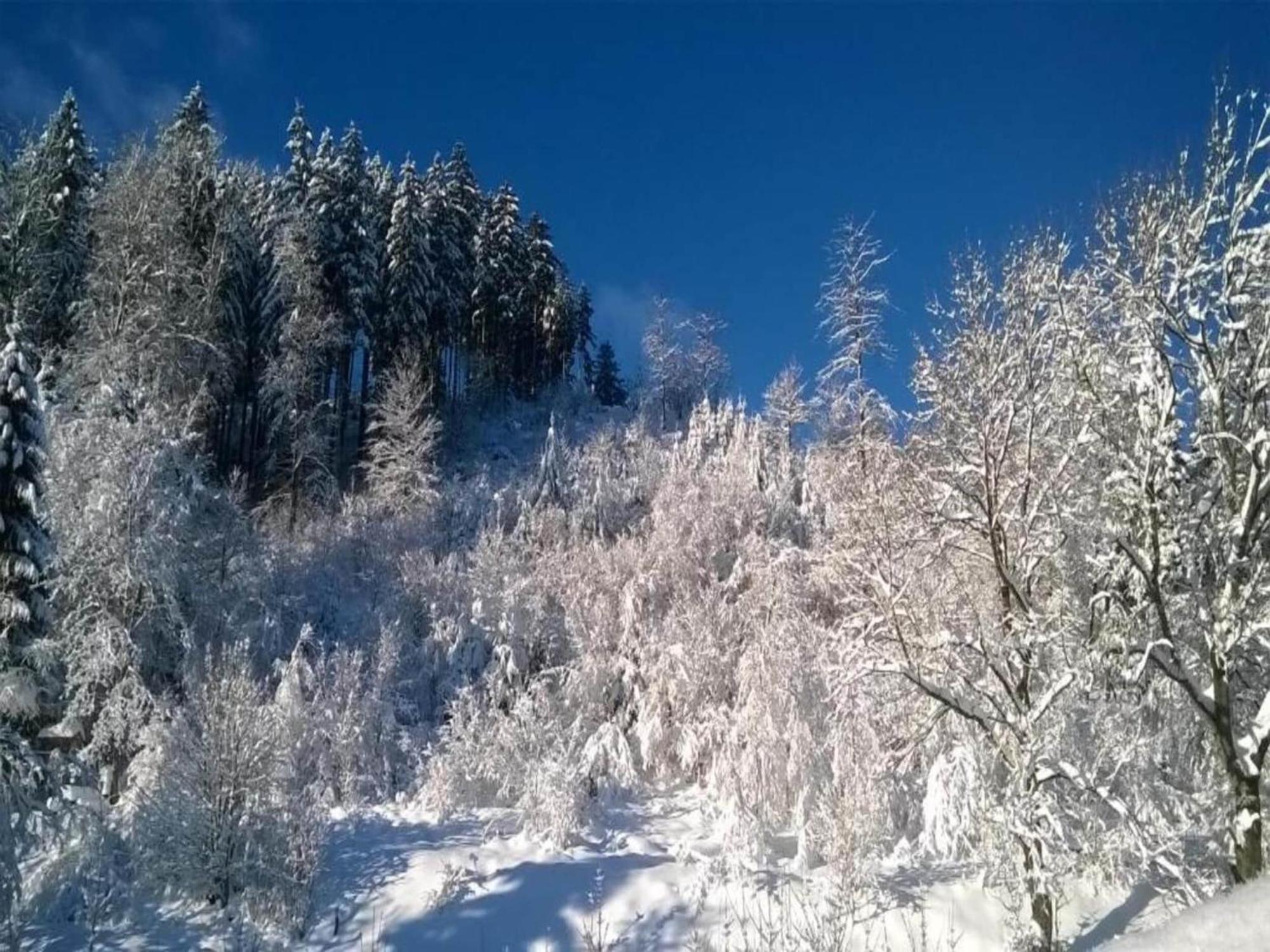 Detached Holiday Residence In The Wonderfully Beautiful Harz Kamschlacken 외부 사진