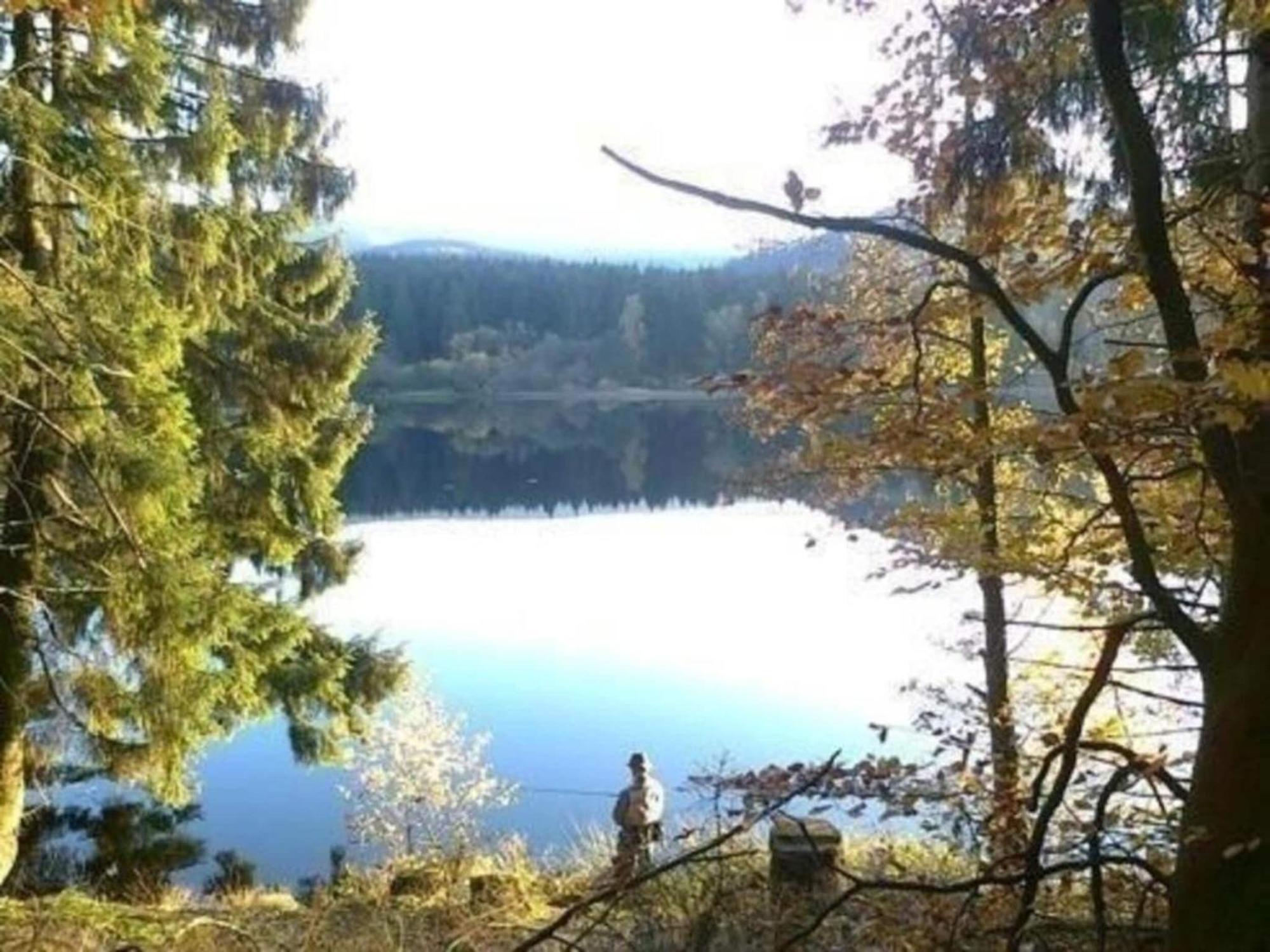 Detached Holiday Residence In The Wonderfully Beautiful Harz Kamschlacken 외부 사진